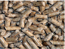 Pellet di legno